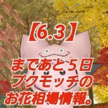 『【6.3】まであと5日！プクモッチのお花相場情報。』の画像