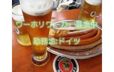 『ドイツワーホリ求人情報』の画像