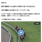 【悲報】中央競馬で乱闘wwwwwwwwwwwwwwwwwwwwwwwwwww