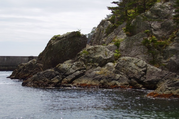 民宿 トドヶ崎荘