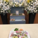 waka ⭐ のの＆のあ そしてぎずも