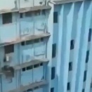 【海外の反応】高層階から落ちた猫、そのまま走り去る　「残機が1減っただけ」「脚にサスペンション入ってるだろ」