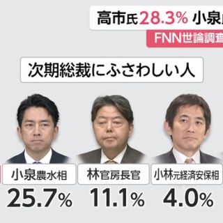 小澤俊夫先生の講演会へ・・・ : みどりの緑陰日記