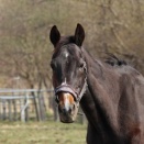 お誕生日おめでとう