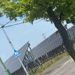 モルってる？
