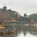 冬の日、冬日和