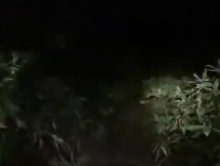 夕暮れの登山道で出会った不自然すぎるカップル、山のホラー体験談