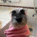 お友達来たる❣️