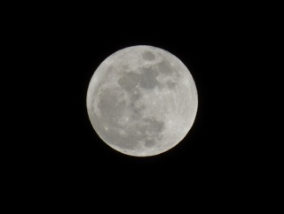 今日の月（月齢14.2、満月）
