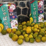 天狗湯､ご案内・西荻窪南口徒歩7分・高四小斜め前・火曜,金曜休業日・open15:45~close23:45・手ぶらセットが好評です。