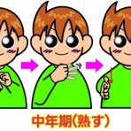 手話しゅわSHUSHUSHU