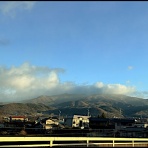 きのこ好き　うらしもじ