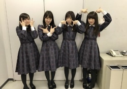 ワイの考える乃木坂46の『４大国民の〇〇』を大発表ｗｗｗｗｗ