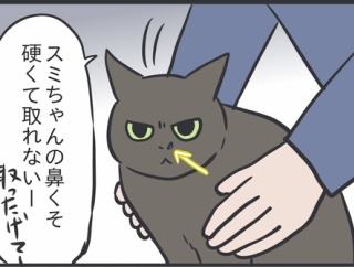 手を汚さない夫と嫌われる妻