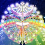 『あなたの前世は何だった？輪廻転生の実例と退行催眠の方法』の画像