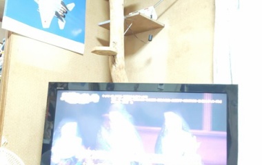 『台風一過٩( 'ω' )و 』の画像