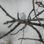 馬とニャンコと男と女