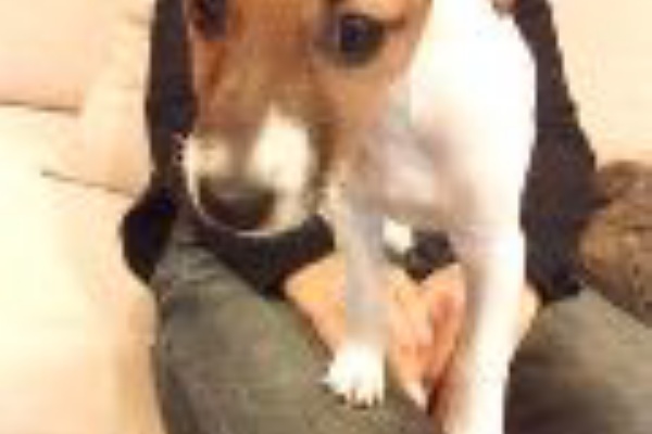 サンエメリー岩盤浴