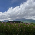 酷暑もあと少し