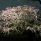 ５月２３日「祈り」 ～自分自身へ還る、やさしい時間～