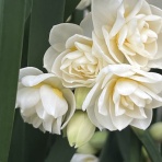 ラ・パレットピアノ教室blog