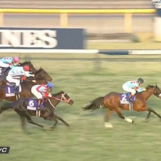 競馬総合まとめ速報