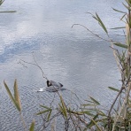 里山暮らしの雑記帳