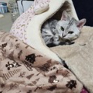 会長の独り言