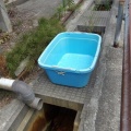 真夏の TARAI good！