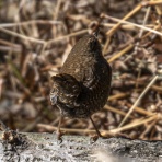 神戸の玉手箱 Vol３