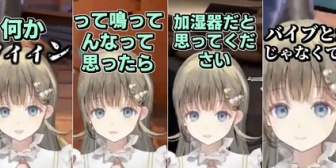 【ぶいすぽ】英「後ろで“ウィィン”って鳴ってたら加湿器だと思ってください。バイブとかじゃなくて」