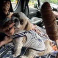 愛犬と一緒に光が丘公園でお散歩。*\(^o^)/*