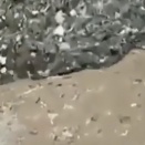 雨が降るとゴミが流れる。もはや何が流れてきているのかわからない川。海外の反応