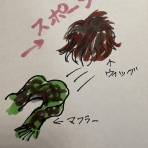 私が体験した抗がん剤の副作用の覚書と対策