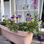 ひとりたのしむうた