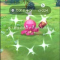 カヌチャンのコミュニティデイ