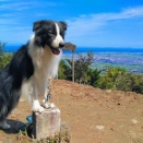 2025年9月21日 松阪市 堀坂山～観音岳清掃登山