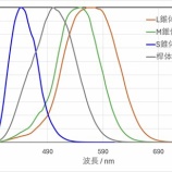 『眼視派のあなたにささげる「ヒトの視覚についての考察」』の画像