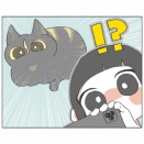 ねこ！？　いつ動いた！？