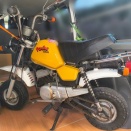 ヤマハ・ポッケを購入しました。