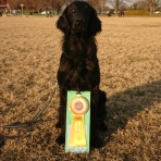 ドッグライフジュンの日記