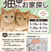 コワイモノ アル