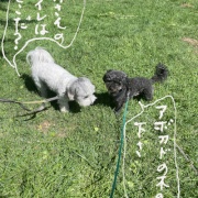 �ְ㤤���Ŧ���Ƥߤ���ͽ�۳���Ÿ��