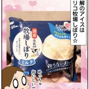 母の欲しいアイスがわからない
