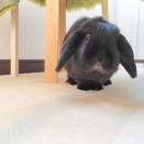 そんな自分に満たされる。