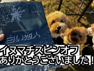 イヌマチスピンオフありがとうございました！！！！！