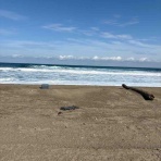 マネージャーブログ＠東大準硬