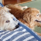 朝から☔雨です