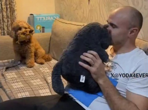 ぬいぐるみを犬のそばで可愛がったら…わかりやすく嫉妬される