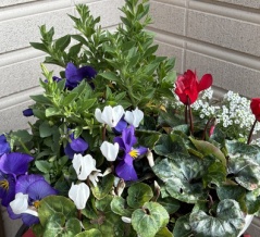 4月並みの陽気で